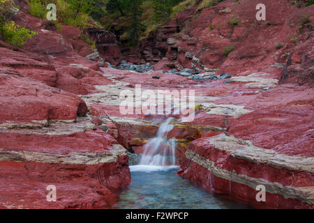 Argillite sedimentaria strati minerali in Lost Horse Creek, il Red Rock Canyon, il Parco Nazionale dei laghi di Waterton, Alberta, Canada Foto Stock