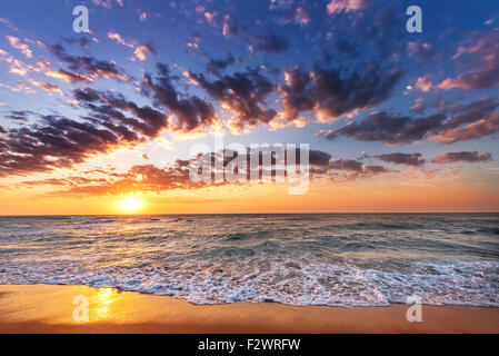 Sullo sfondo del cielo su sunrise. Composizione della natura Foto Stock