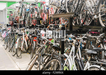 Un sacco di biciclette parcheggiate fuori Utrecht Centraal stazione ferroviaria Foto Stock