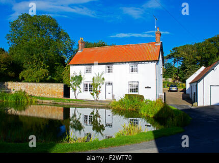 Forge Cottage e stagno, nel villaggio di vescovo Burton, East Riding of Yorkshire, Inghilterra, Regno Unito Foto Stock