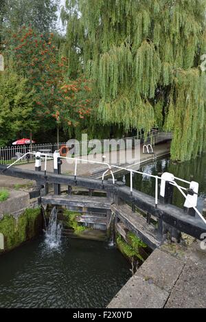 Blocco di scacchi sul Grand Union Canal a Batchworth, Rickmansworth. Foto Stock