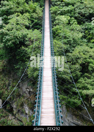 Ponte sospeso che conduce nella fitta giungla verde. Foto Stock