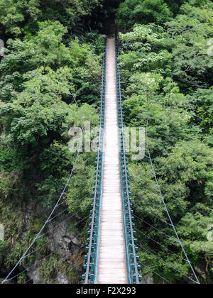 Ponte sospeso che conduce nella fitta giungla verde. Foto Stock