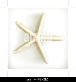 Starfish, icona del vettore Illustrazione Vettoriale