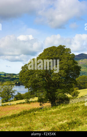 Crummock acqua, vicino Buttermere in Allerdale, Cumbria, Lake District, REGNO UNITO Foto Stock