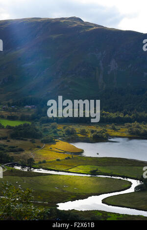 Un albero di luce del sole cade sul serpeggiante Fiume Derwent, Derwent Water Borrowdale, Allerdale nel distretto del lago. Foto Stock