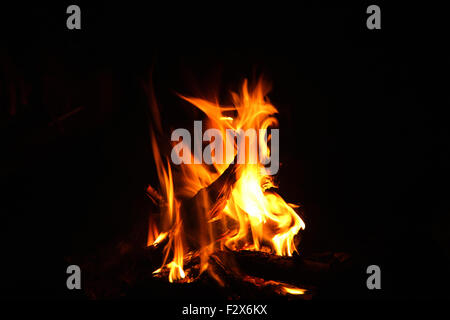 Campo di fuoco ardente nella notte Foto Stock
