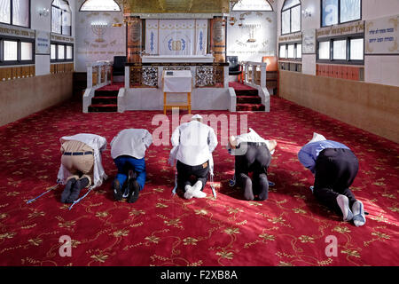 Karaite ebrei piegando il ginocchio e prostrato durante la preghiera in una sinagoga Karaite nella città di Ramle o Ramleh Israele. Karaite ebrei che respinge la successiva addizione alla Bibbia ebraica come rabbinica legge orale prua verso il basso come i musulmani quando pregano Foto Stock