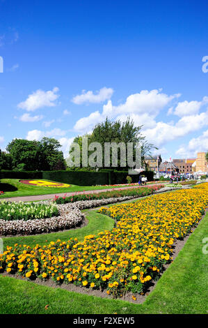 Letti di fiori, Central Park, Dartford Kent, England, Regno Unito Foto Stock