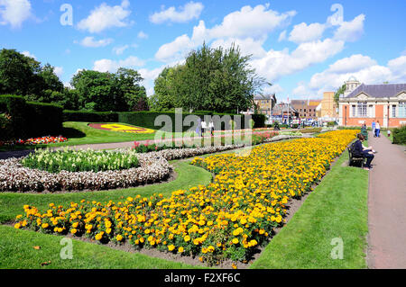 Letti di fiori, Central Park, Dartford Kent, England, Regno Unito Foto Stock