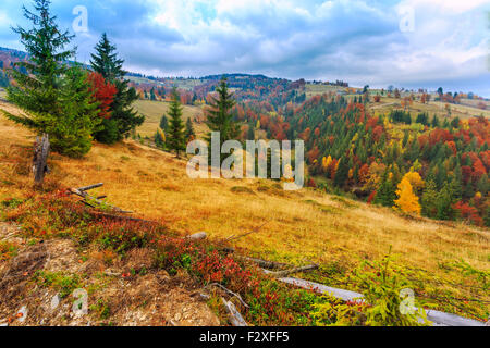 Colorato paesaggio autunnale nelle montagne dei Carpazi. Transilvania,Romania. L'Europa. Foto Stock