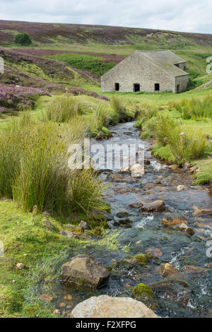 Grinton puzzava mulino in Swaledale nel Yorkshire Dales Foto Stock