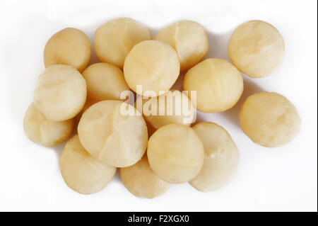 Noci di macadamia isolati su sfondo bianco Foto Stock