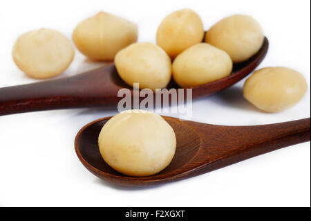 Noci di macadamia sul cucchiaio di legno Foto Stock