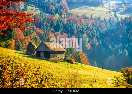 Colorato paesaggio autunnale nel villaggio di montagna, mattina nelle montagne dei Carpazi. Transilvania,Romania l'Europa. Foto Stock