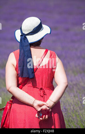 Donna con cappello tenere Apple iphone godendo la lavanda a Lordington Lavender Farm, Chichester, West Sussex UK nel mese di luglio Foto Stock