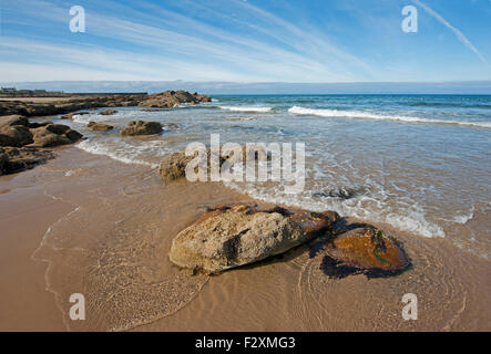 Moray Firth Costa Nord Est a Hopeman, Morayshire, Grampian Regione, Scozia. SCO 10,079. Foto Stock