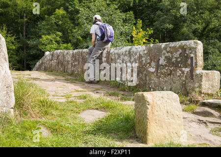 Appoggiato su quattro famosi di cento anni "Beggar's Bridge' vicino Glaisdale, North York Moors, nello Yorkshire, Inghilterra, Regno Unito Foto Stock