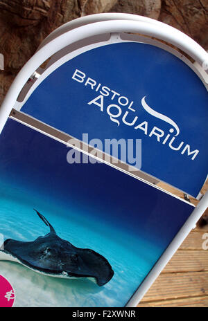 Bristol Aquarium, Bristol, Regno Unito Foto Stock