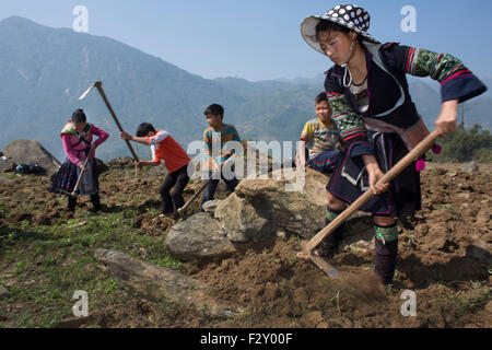 Una famiglia è di coltivare la terra nel Nord Vietnam Foto Stock