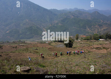 Una famiglia è di coltivare la terra nel Nord Vietnam Foto Stock