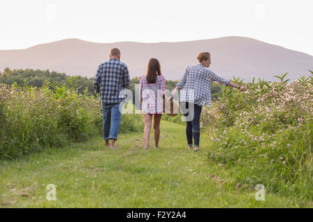 Vista posteriore di due donne e un uomo che cammina lungo un percorso falciata in un prato di fiori ed erba. Foto Stock