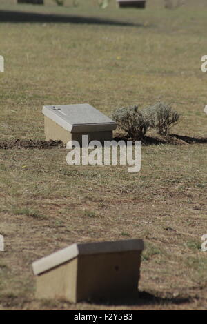 Due lapidi reciprocamente affacciate sul grafico 1 sezione di CWGC Portianos villaggio cimitero militare. Isola di Limnos, Grecia. Foto Stock