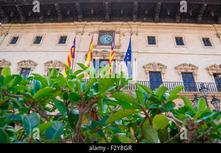 Il palazzo comunale a Palma,Maiorca Foto Stock