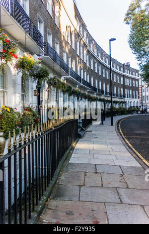 Cartwright Gardens, Londra, Inghilterra, Regno Unito Foto Stock