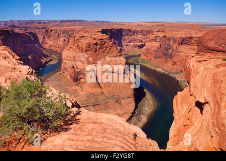 Ferro di cavallo canyon del fiume Colorado Foto Stock