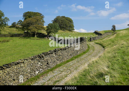 La Fram via attraverso i campi nel Lake District inglese. Foto Stock