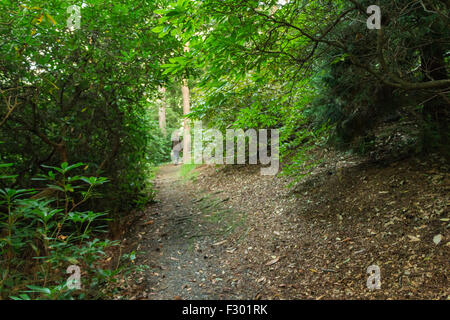 Passeggiando tra la natura a Coombe Giardini a Croydon, SURREY REGNO UNITO Foto Stock