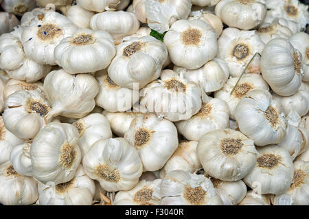 Un sacco di bulbi di aglio in un mercato in stallo Foto Stock