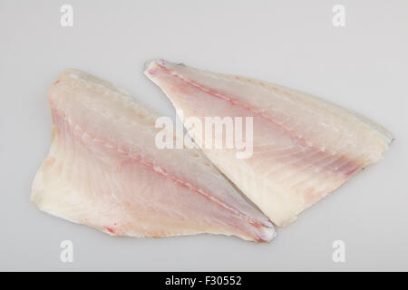 Dentice di materie di filetto di pesce Foto Stock