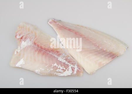 Dentice di materie di filetto di pesce Foto Stock