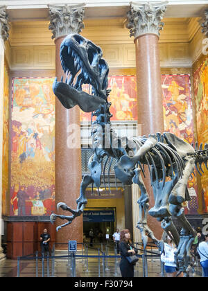 Il Museo Americano di Storia Naturale, NYC Foto Stock