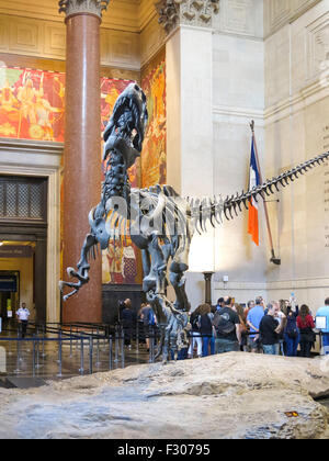 Il Museo Americano di Storia Naturale, NYC Foto Stock