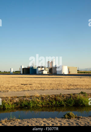 Agricolo di impianto di trasformazione nel campo di grano,l'estate tramonto, USA, 2015. Foto Stock