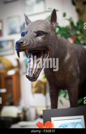 Tazmanian devil modello, Cryptozoology Museum, Portland, Maine, Stati Uniti d'America Foto Stock