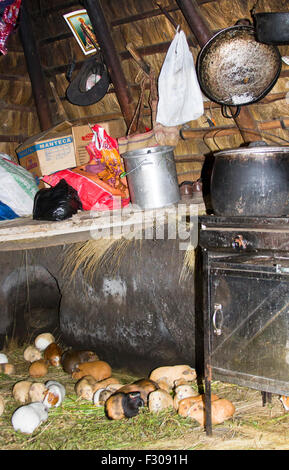 Locali indigene home nelle montagne andine vicino a Laguna Quilotoa, Ecuador. Foto Stock