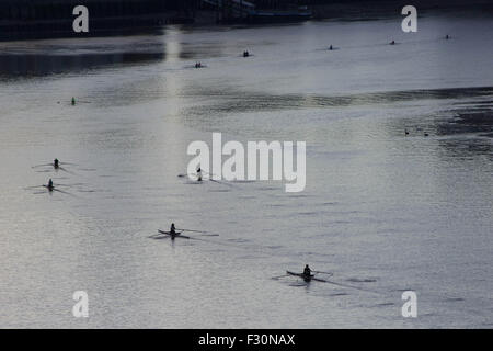 Londra, Regno Unito. Il 27 settembre 2015. Scullers da Poplar Rowing Club godono di una mattina la sessione di formazione in direzione di Wapping e ritorno lungo il fiume Tamigi. Credito: Glenn Sontag / Alamy Live News Foto Stock