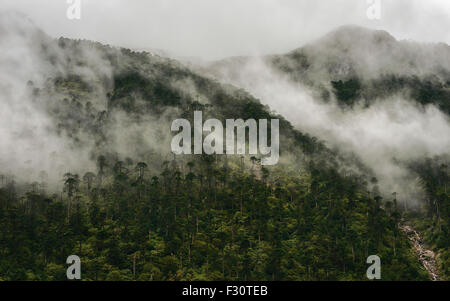 Il fittamente boscose pendici dell'himalaya come la nebbia si solleva all'alba visto da H229 autostrada, Bomdila, Arunachal Pradesh, India. Foto Stock