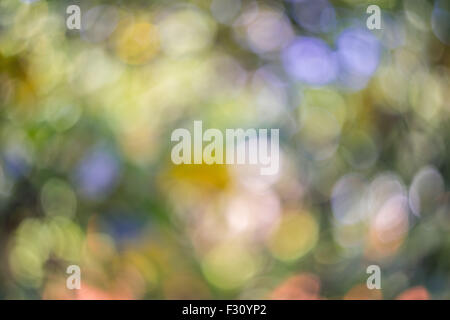 Caldo swirly multicolore bokeh prodotta da Helios 44-2 58/2.0 lente sovietica Foto Stock