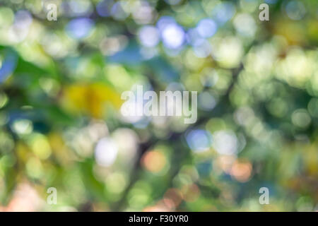 Caldo swirly multicolore bokeh prodotta da Helios 44-4 58/2.0 lente sovietica Foto Stock