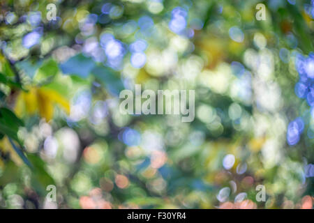 Caldo swirly multicolore bokeh prodotta da Helios 44-4 58/2.0 lente sovietica Foto Stock