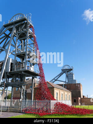 Finestra di pianto utilizzando papaveri in ceramica da Paolo Cummins e Tom Piper, Woodhorn Colliery, Ashington, Northumberland, England, Regno Unito Foto Stock