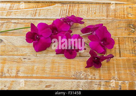 Orchidee viola su sfondo di legno Foto Stock