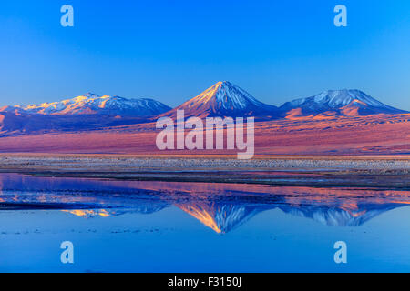 Volcan Licancabur riflessa nella Laguna Tebinquinche Foto Stock