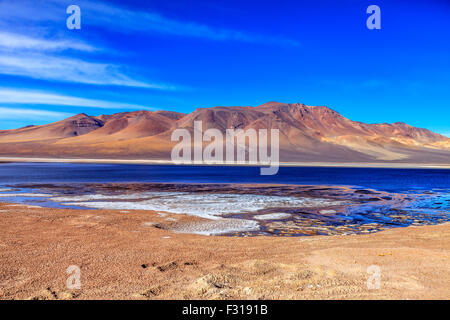 Salar de Tara con colline colorate sullo sfondo (riserva nazionale di Los Flamencos, Atacama, Cile) Foto Stock