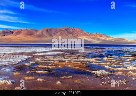 Salar de Tara con colline colorate sullo sfondo (riserva nazionale di Los Flamencos, Atacama, Cile) Foto Stock